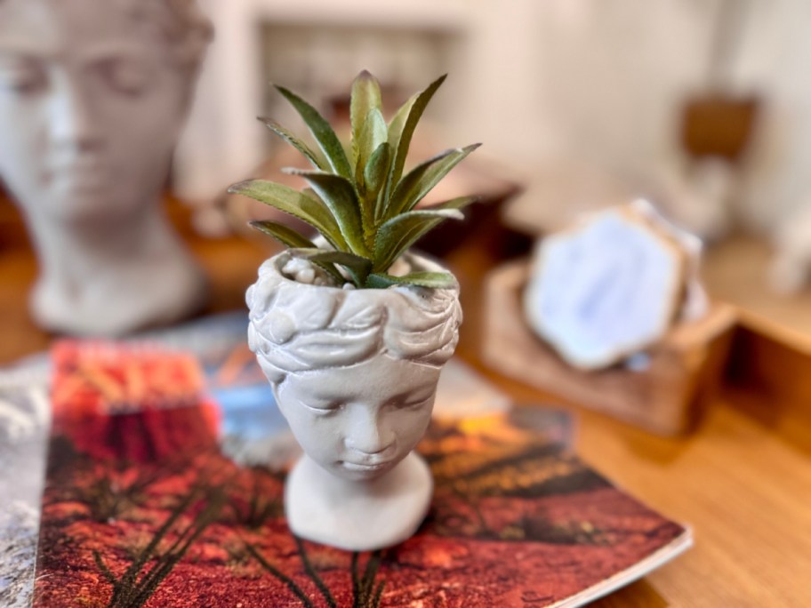 face planter with a faux succulent displayed with other odds and ends on a table