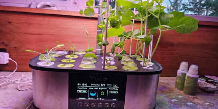 $40 Off LetPot Hydroponics System on Amazon (Grow Veggies at Home All Year Long!)