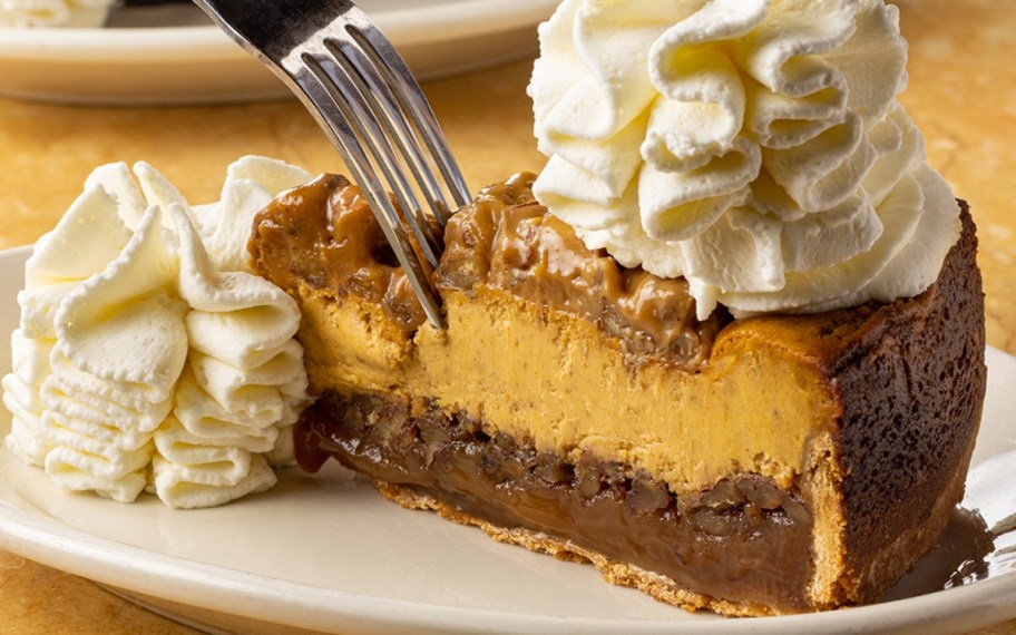 taking a bite of pumpkin cheesecake
