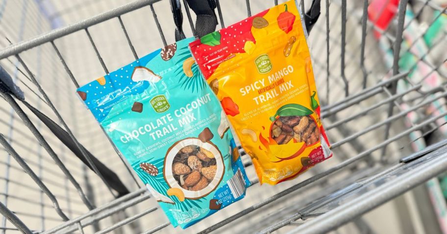 Southern Grove Spicy Mango and Chocolate Coconut Trail Mix 