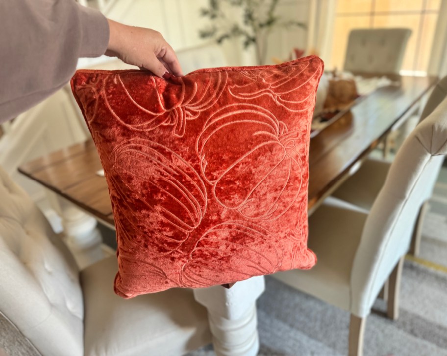 Decorative Fall Pillow from Walmart
