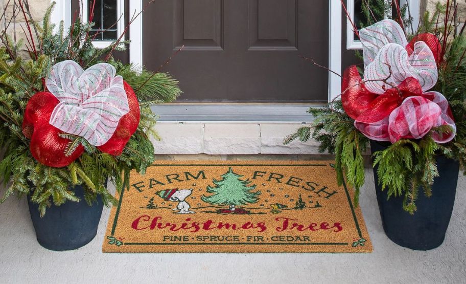peanuts doormat in front of a door