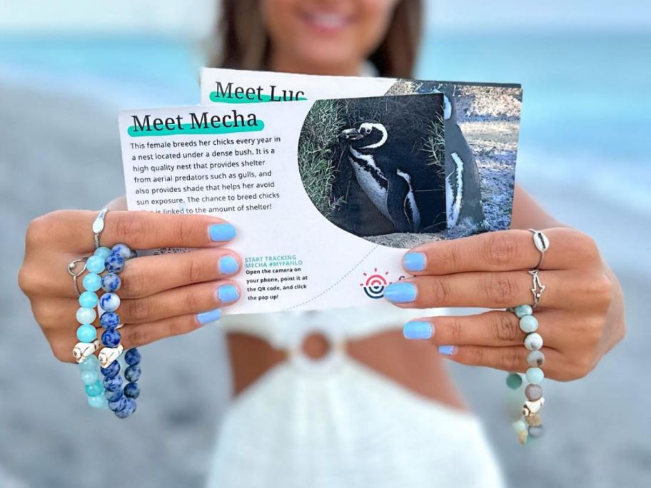 woman holding fahlo bracelets with animal tracking post cards about animals
