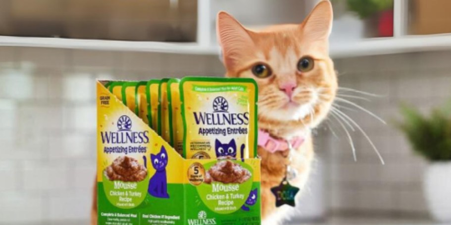 FREE Wellness Cat Food Sample & Spindrift Sparkling Water (Just Ask Alexa!)