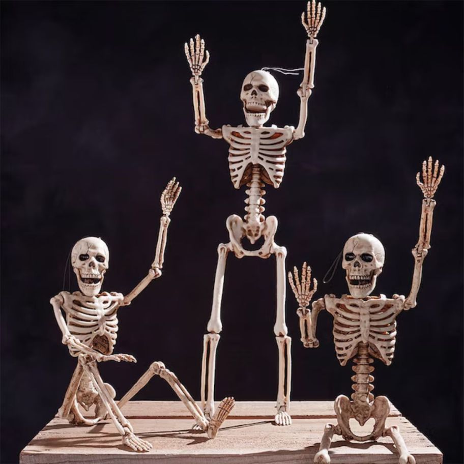 3 small poseable skeletons arranged in various poses