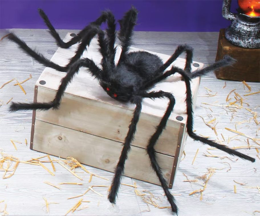 giant furry spider displayed on a wooden crate