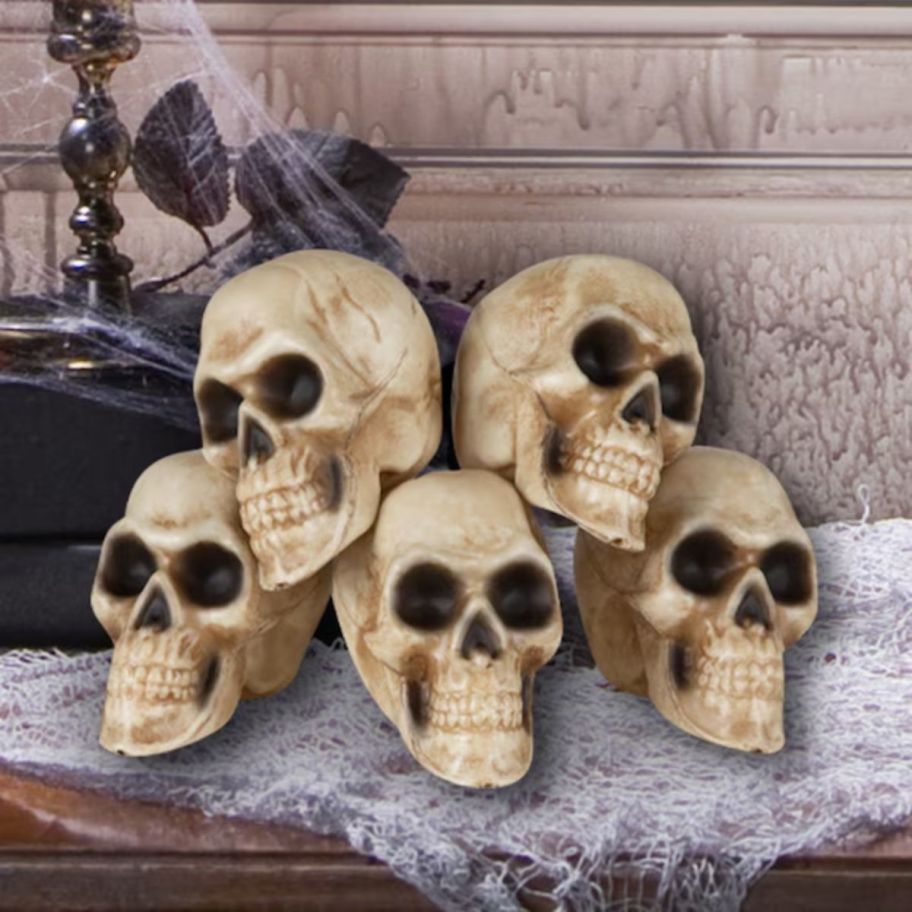 a stack of 5 skulls on a tabletop