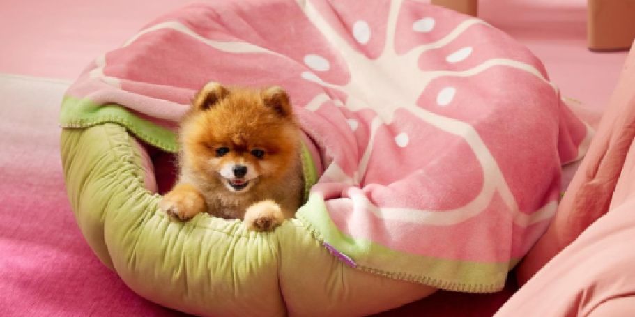 Calming Pet Fruit Blanket from $7.49 on Amazon (Regularly $15)