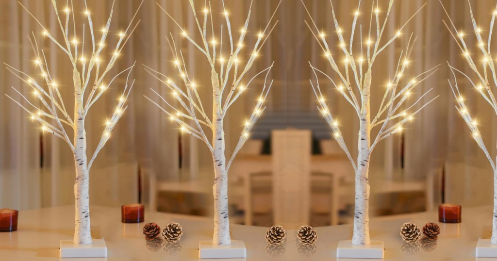 white lighted birch trees