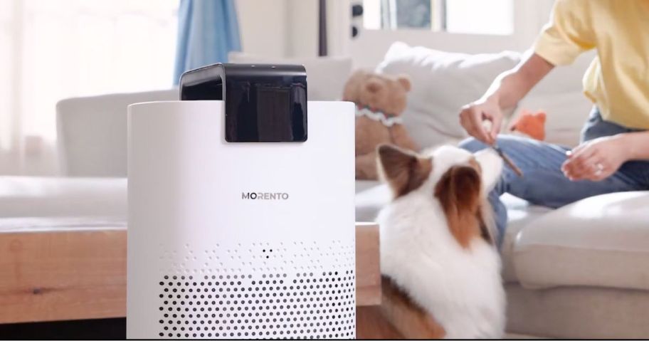 MORENTO Air Purifier with a dog 