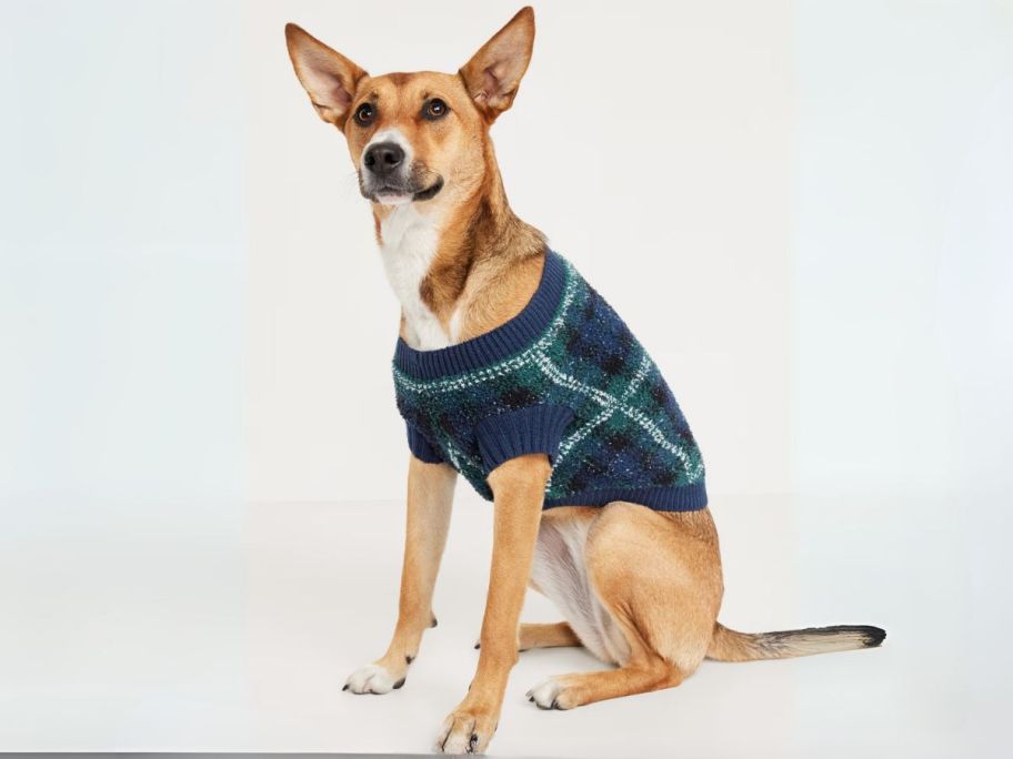 dog wearing Old Navy Printed Sweater for Pets