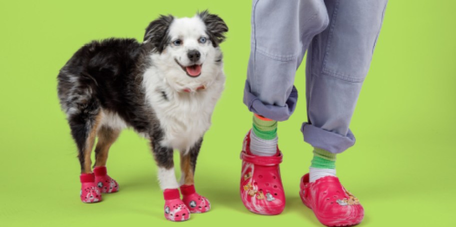 GO! Matching Crocs for You & Your Furry BFF Are Available Now & Selling Out Fast