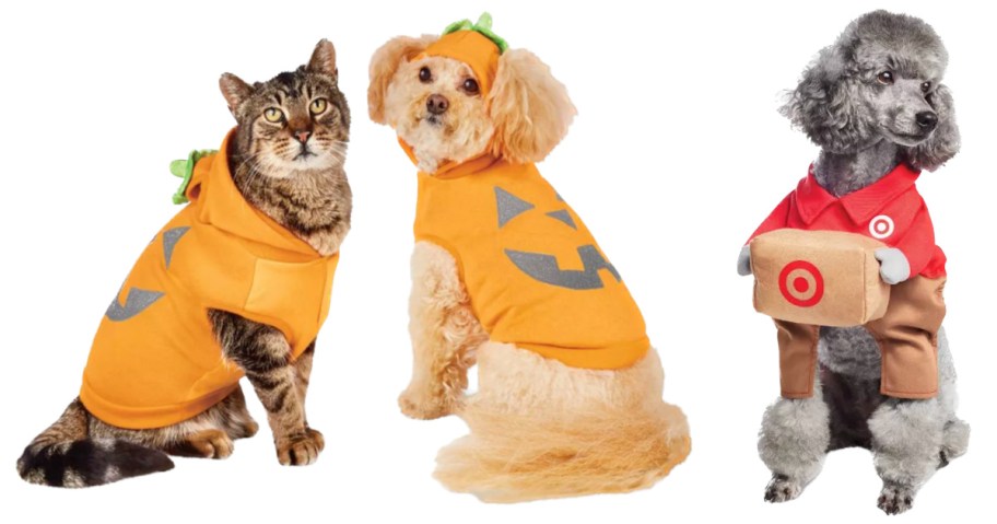 pets in costumes