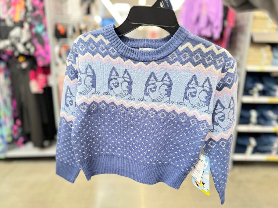 a little kids bluey sweater