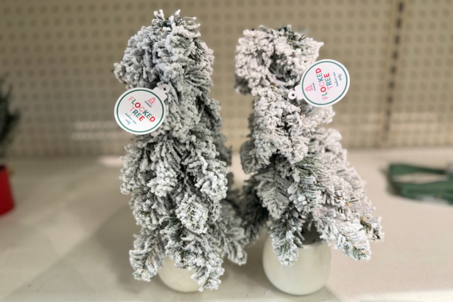 mini flocked trees in white pot