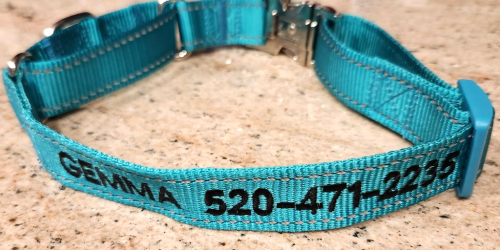 WOW! Personalized Martingale Dog Collars Just $6.49 Shipped on Amazon