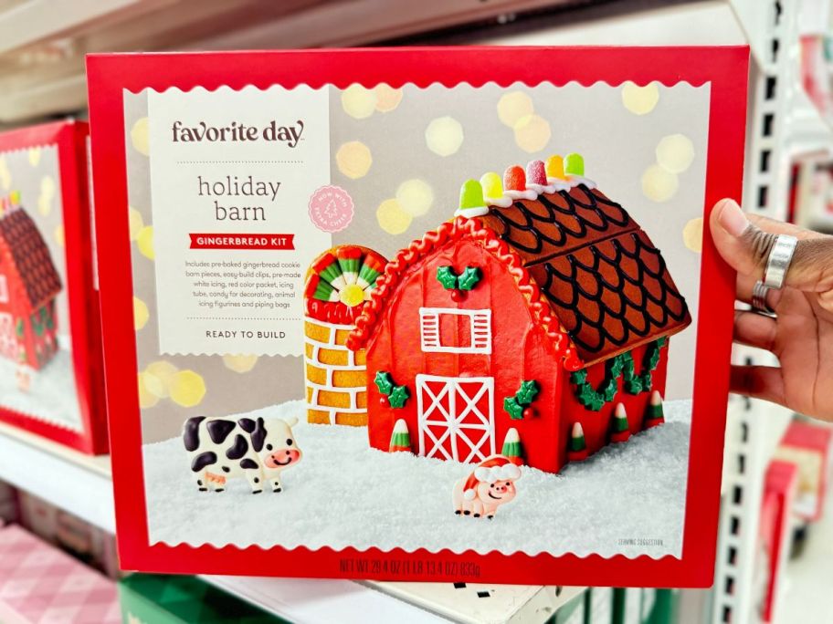 Favorite Day Christmas Barn Gingerbread House Kit in hand in store