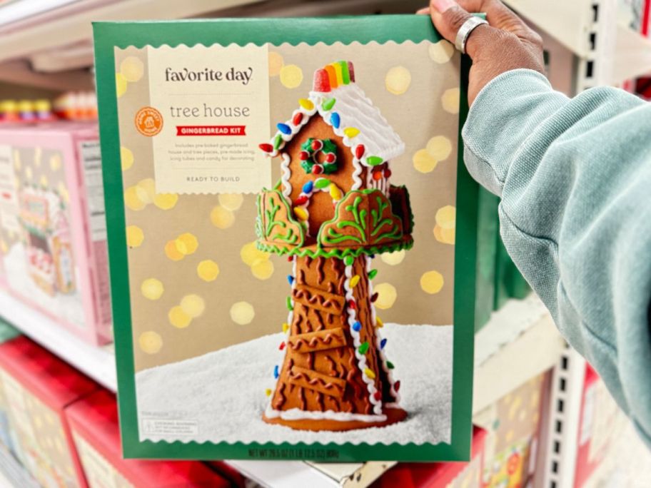 Favorite Day Christmas Tree House Gingerbread House Kit in hand in store
