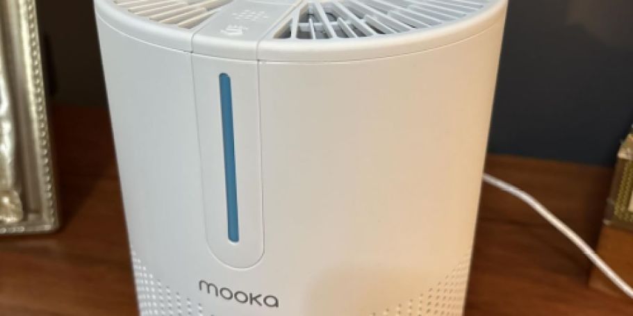 HEPA Air Purifier Just $19.99 Shipped on Amazon (Reg. $50) | Great for Small Spaces
