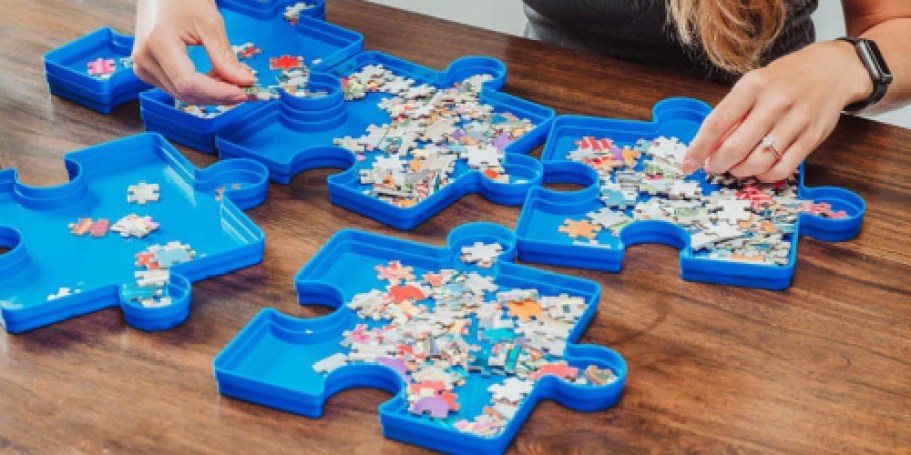 Puzzle Sorting Tray 6-Pack Only $8.99 on Target.com (Reg. $18)
