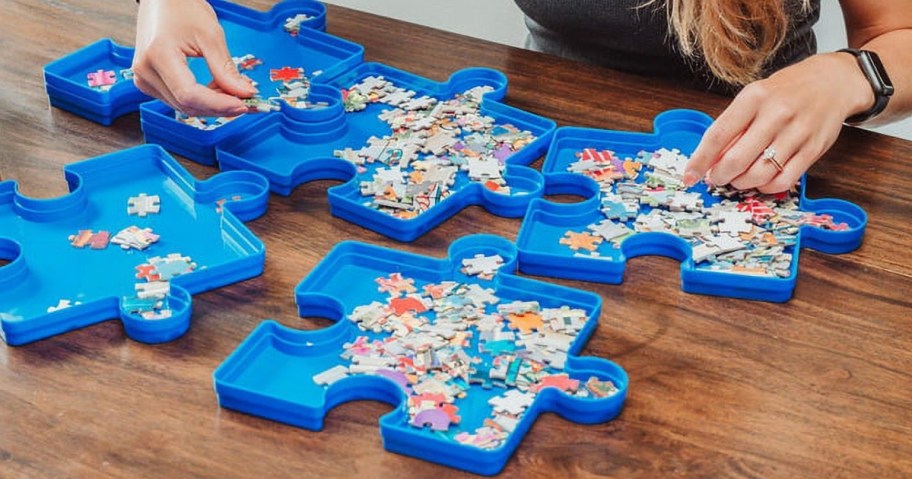 puzzle sorting trays with pieces on table