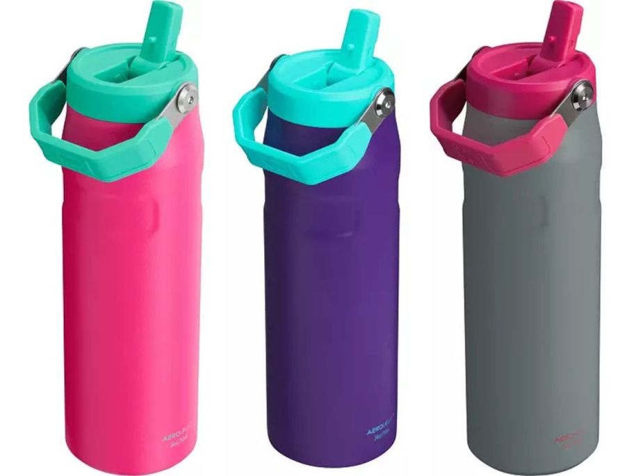 3 Stanley Ice Flow tumblers