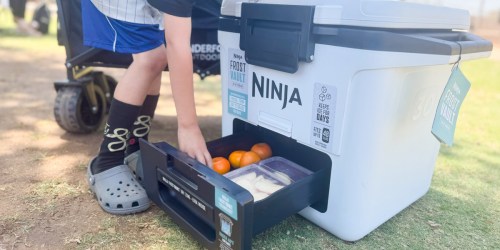 Ninja FrostVault Cooler from $109.98 Shipped (Reg. $169) – Includes Dry Zone Drawer