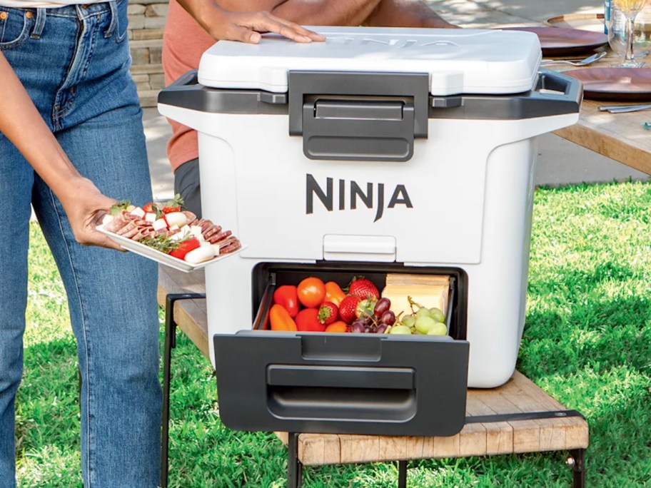 person putting food inside white ninja cooler 