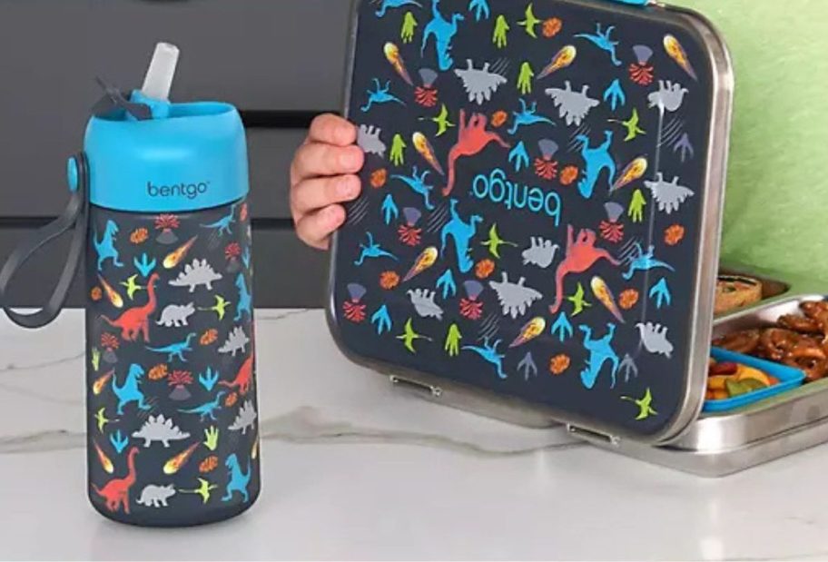A bentgo Stainless Steel lunch box and water bottle