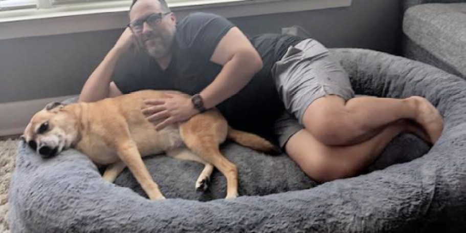 This Human-Sized Dog Bed on SamsClub.com Costs HUNDREDS Less Than a Plufl!