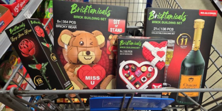 Brickcraft Bricktanicals Valentine’s Sets as low as $4.97 from Walmart (Compatible with LEGO!)