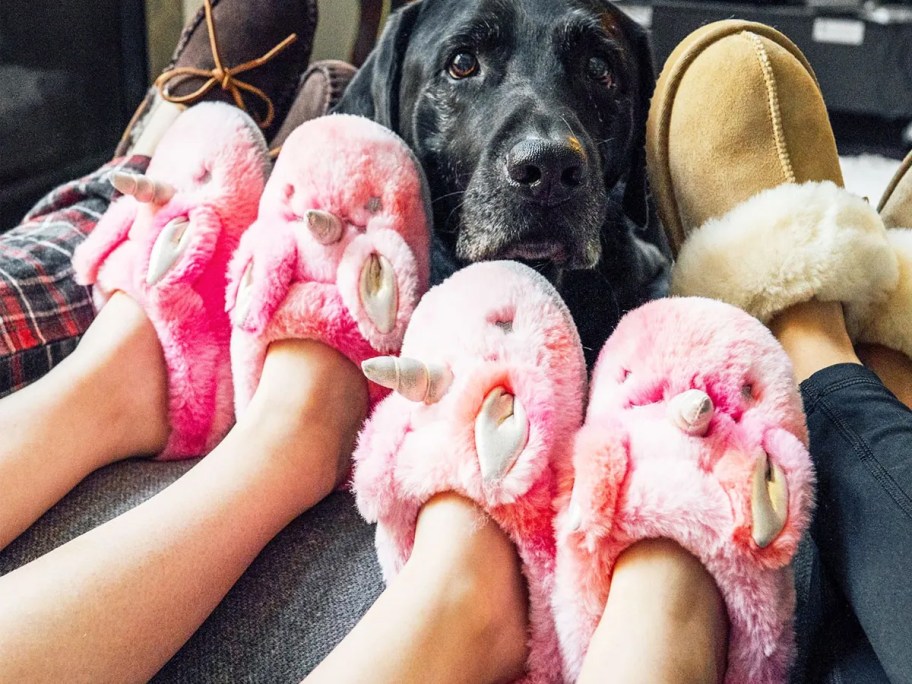 pink unicorn slippers next to dog