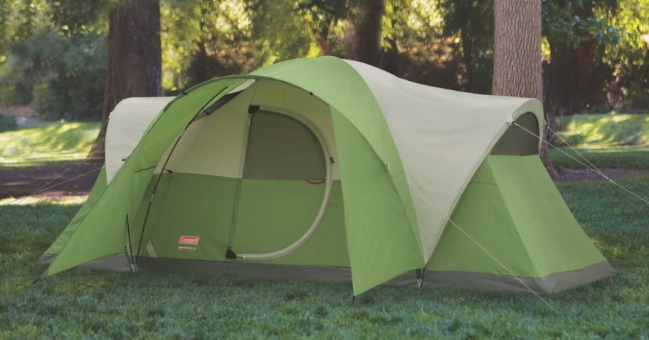 a large green family size tent in the woods