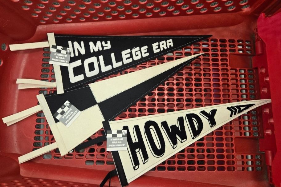 threee black and white felt wall pennants in a target shopping cart