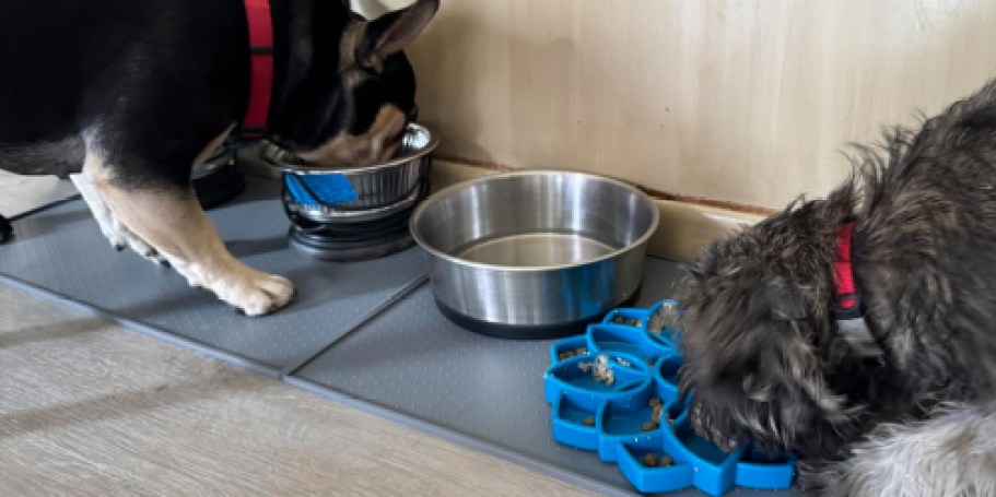 Gorilla Grip Silicone Pet Feeding Mat Just $6.74 on Amazon (Regularly $20) | Dishwasher-Safe