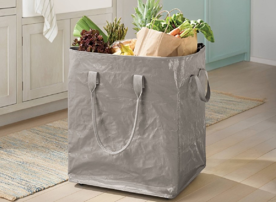 Brightroom Storage Bag with items inside in spaceship gray