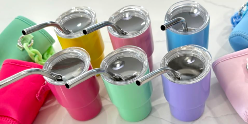 Mini Tumblers 8-Pack Just $14.29 on Amazon (Only $1.78 Each)