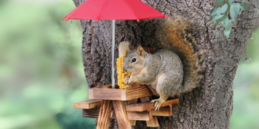 Squirrel Feeder Table Just $13.99 Shipped for Prime Members