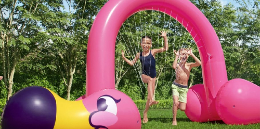 Jumbo Flamingo Sprinkler Arch Only $11.79 on Walmart.com (Regularly $40) + More