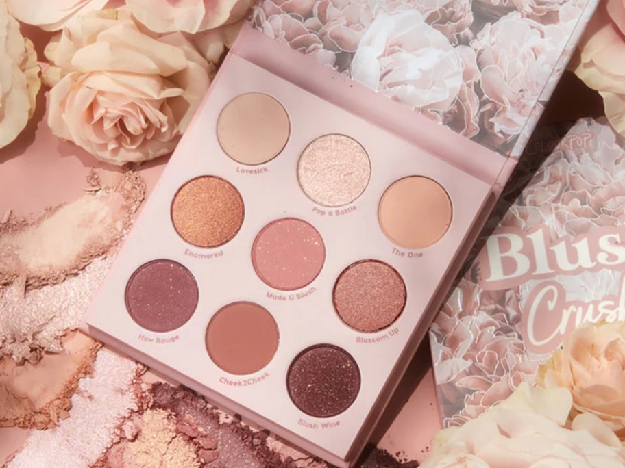 a Colourpop eye shadow palette