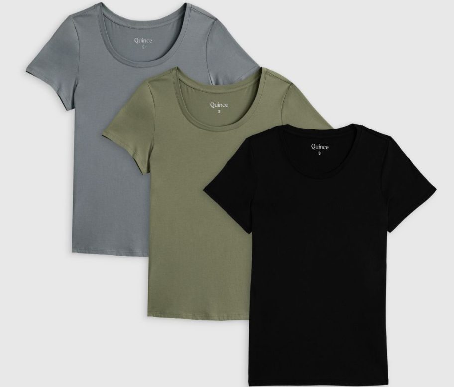 Stock images of three Quince Women's Cotton Modal Scoop Neck Tees