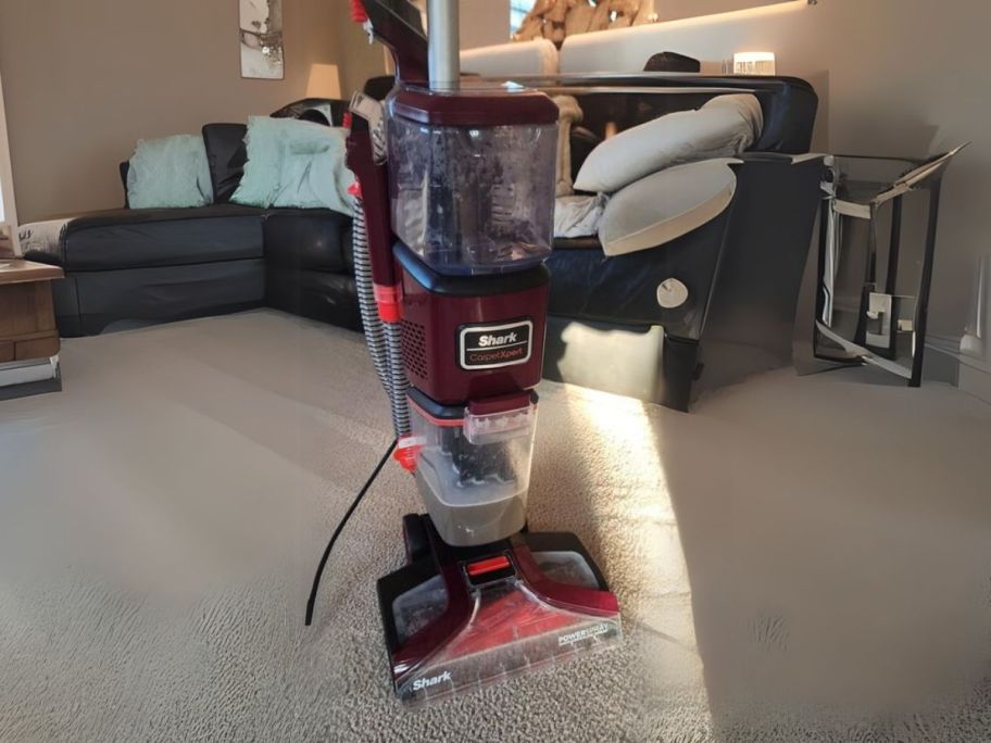 Shark CarpetXpert Pet Upright Deep Carpet Cleaner w/ Handheld Spot & Stain Eliminator in living room
