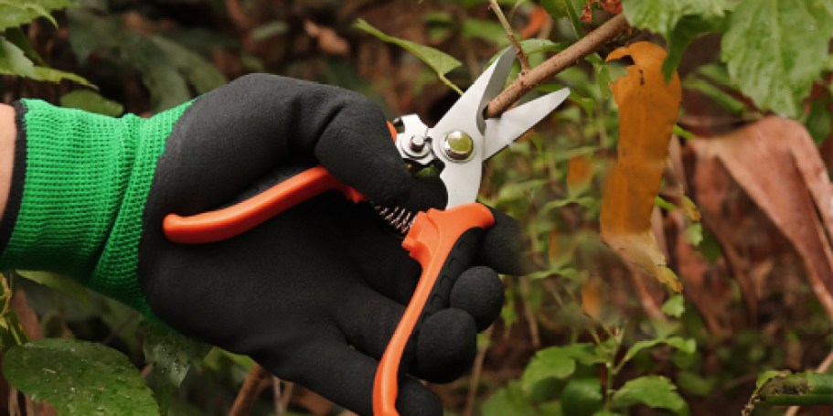 Garden Shears Set Only $6.99 on Amazon | Includes 3 Shears & Gloves!