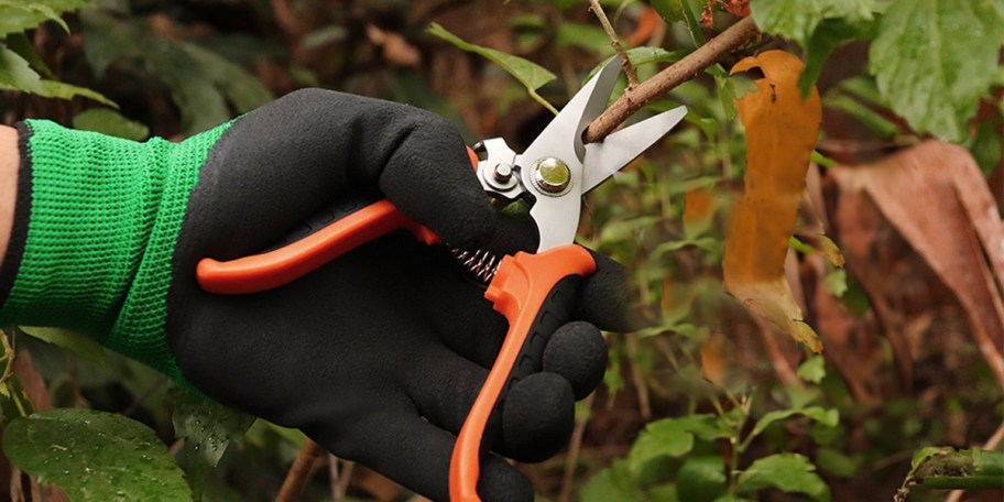hand with glove holding orange garden shear 