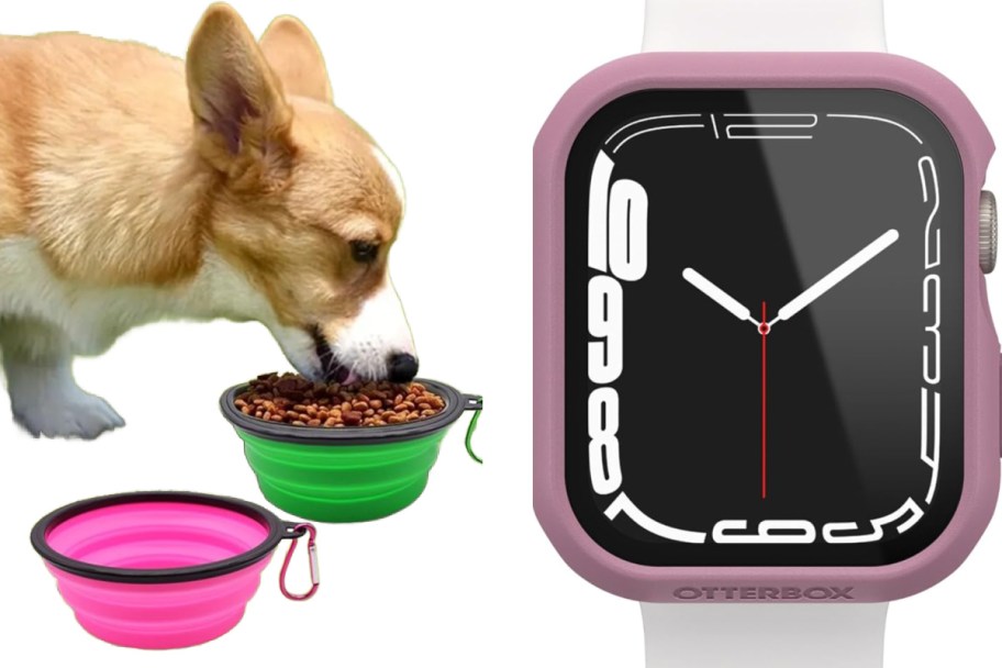 dog eating from pink and green colllapsible bowls and iwatch case