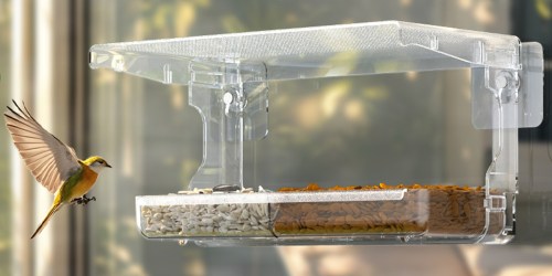 Window Bird Feeder Only $4.74 on Amazon