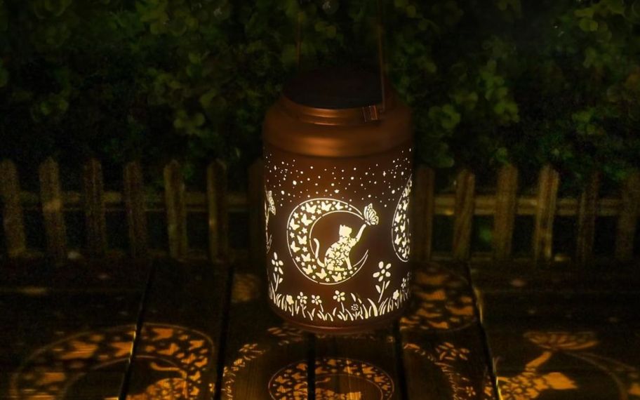cat solar lantern glowing at night
