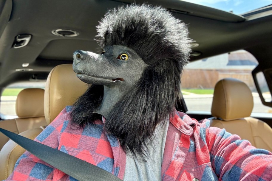 man sitting in car wearing black poodle dog mask