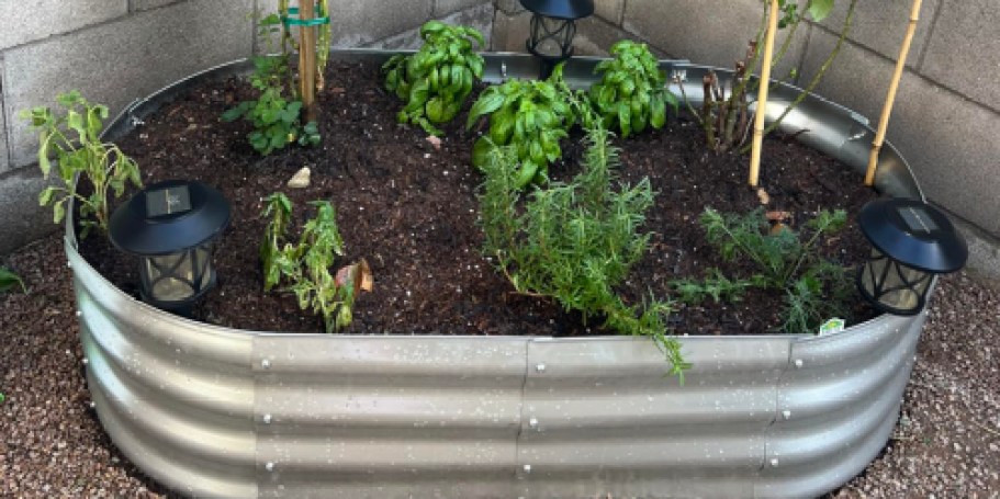 Galvanized Steel Raised Garden Bed Only $28.79 on Amazon