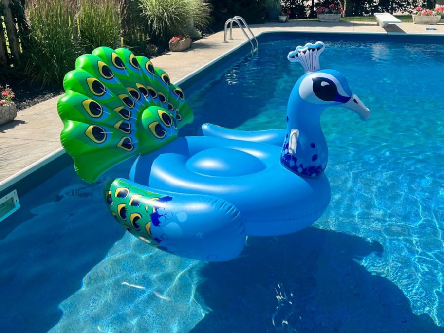 peacock pool float sitting in pool